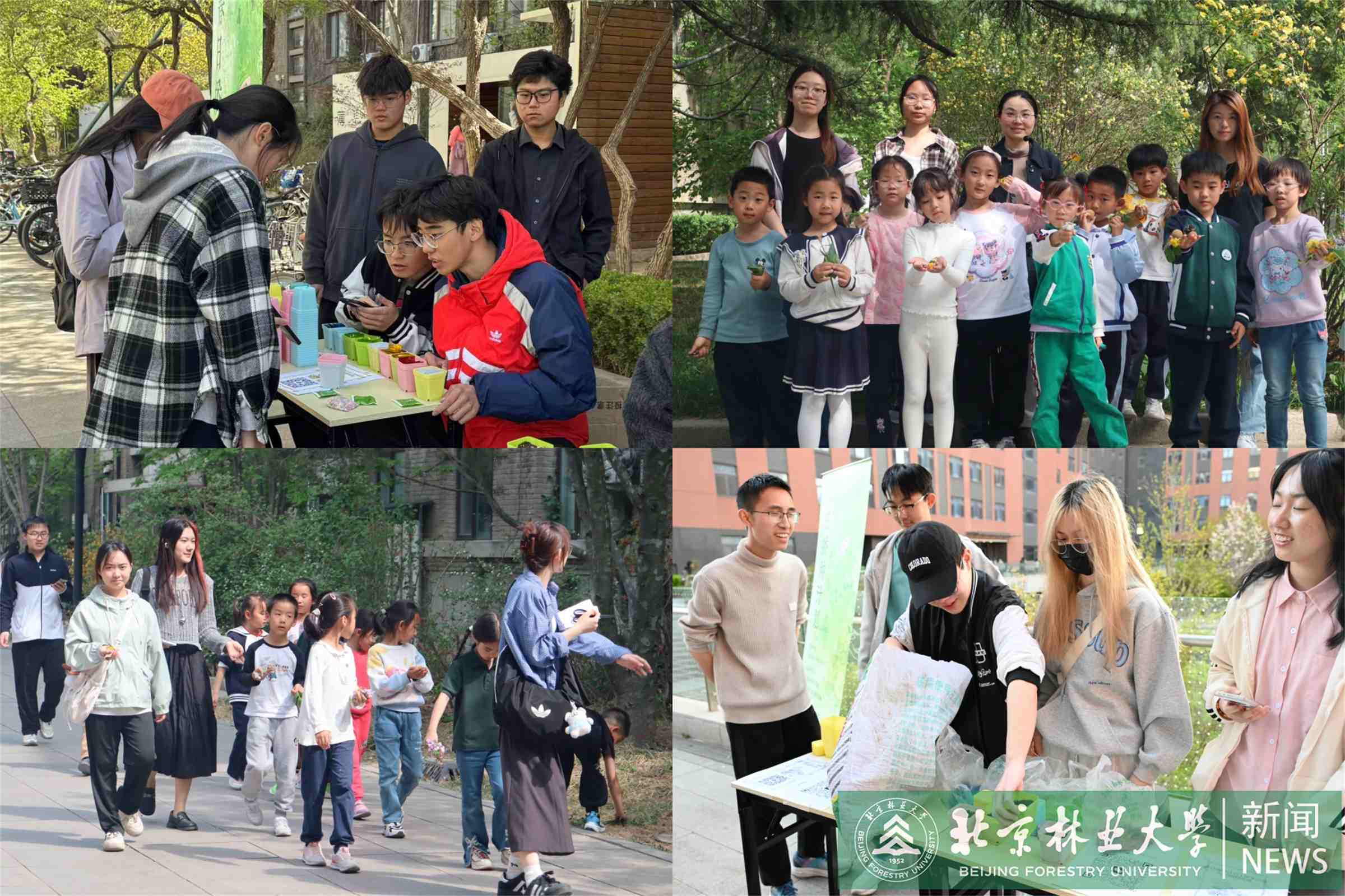 拼图.jpg
