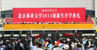 2015迎新专题