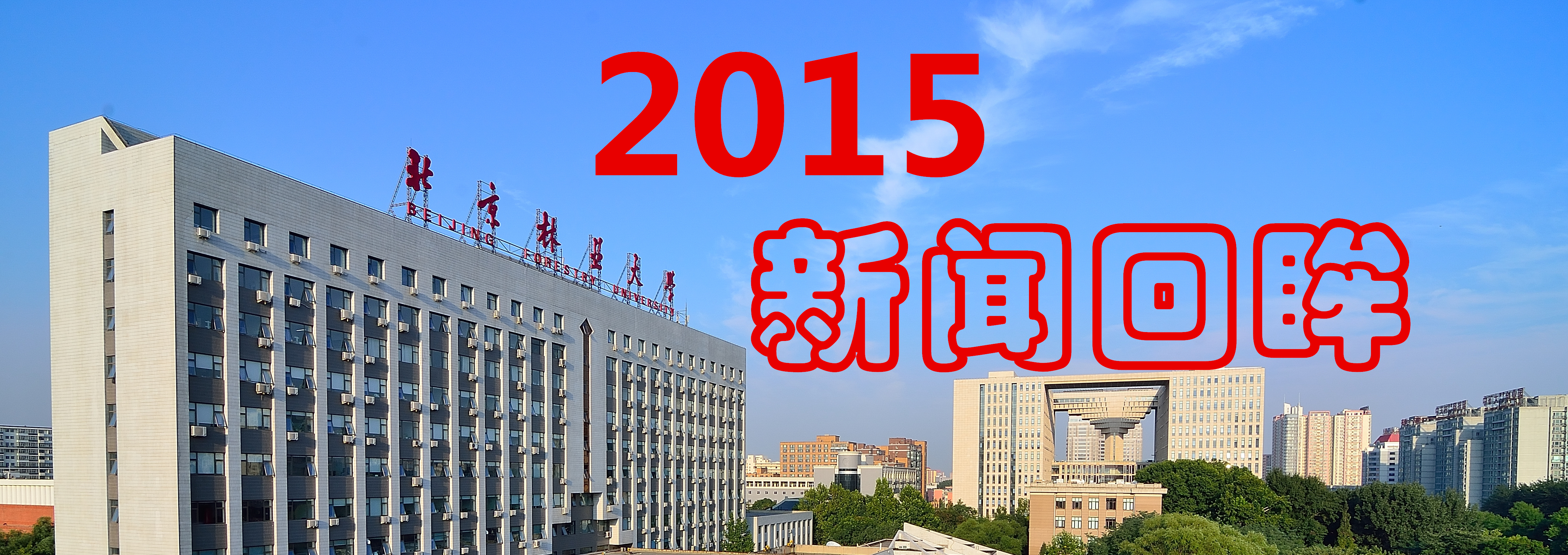 2015新闻回眸