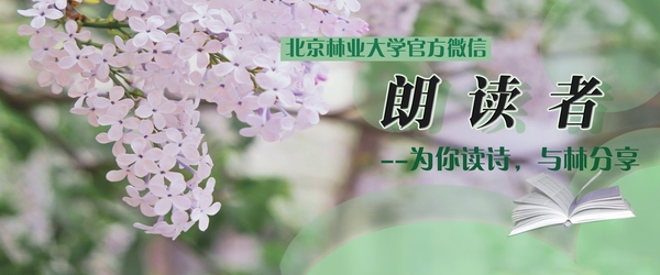 官方微信：《朗读者》