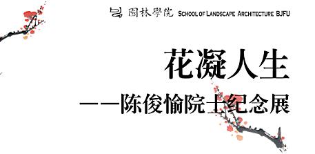 花凝人生（图）