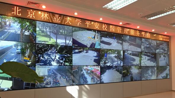 砥砺奋进的北林：校园安全管理工作稳步提升