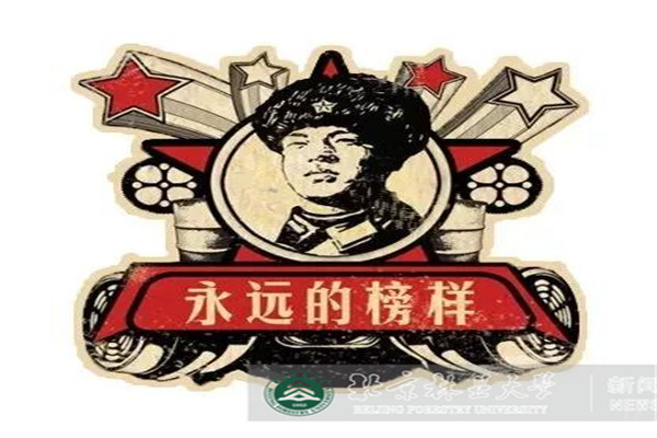 北林信息人：学雷锋，献行动