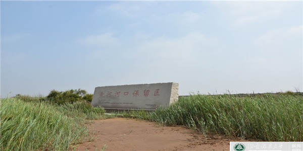 “黄河景，湿地情”社会实践小分队抵达黄河三角洲国家级自然保护区开展社会实践工作