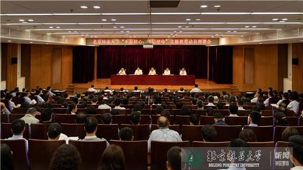 2019年回眸：以坚持政治建设为统领，统筹协调，推动“不忘初心、牢记使命”主题教育有效开展