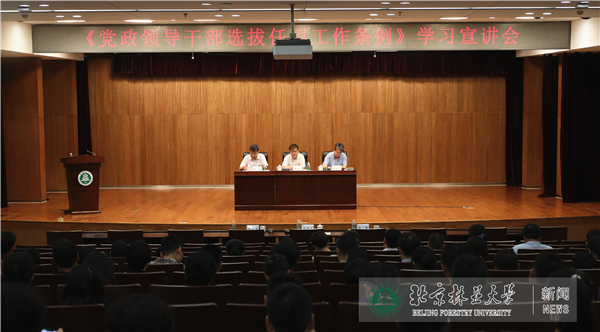 2019年回眸：以忠诚干净担当的高素质干部队伍建设为着力点，进一步构建干部选育用管全链条