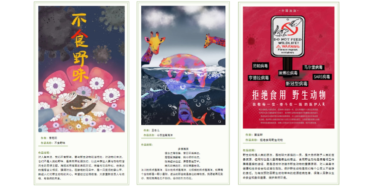 环境日专题|青年环保艺术作品展共倡美丽中国