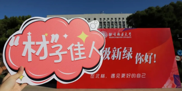 迎新季丨北林材料资讯：迎新特辑 | 新绿第一站——邂逅未知的风景