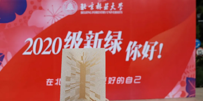 迎新季丨北京林业大学：北林，我来了！直击新绿报到首日！