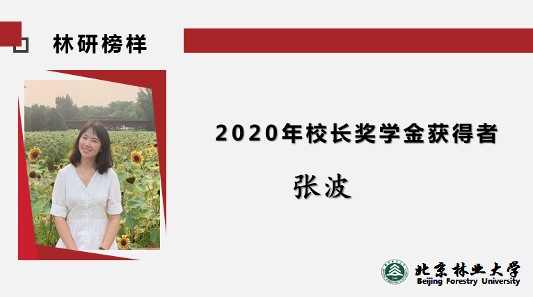 2020年校长奖学金获得者——张波