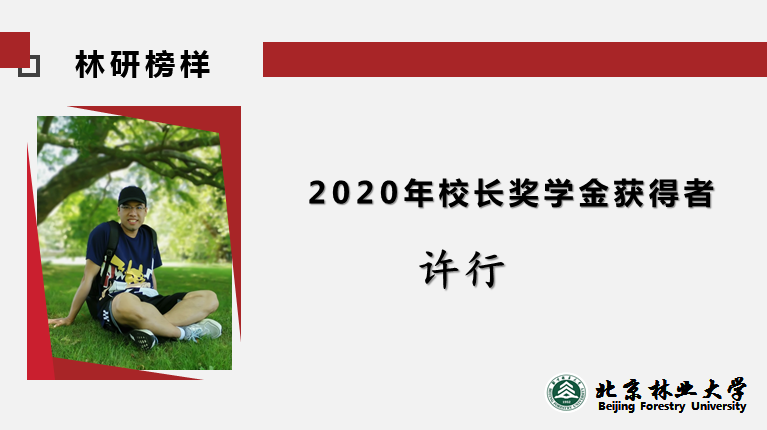 2020年校长奖学金获得者——许行