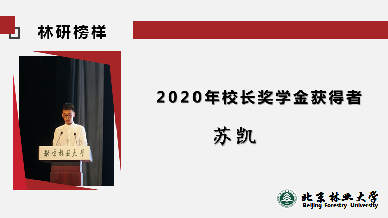 2020年校长奖学金获得者——苏凯