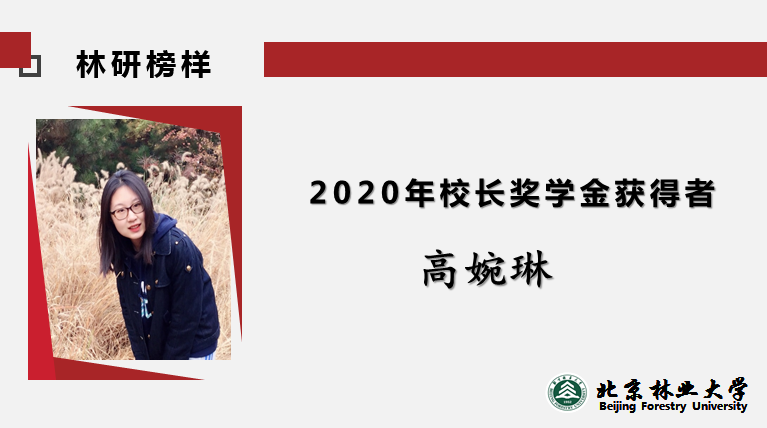 2020年校长奖学金获得者——高婉琳