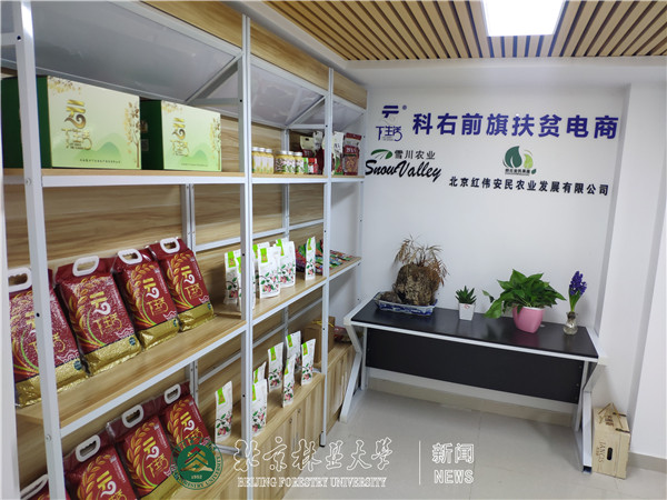 北林大扶贫团队防疫脱贫齐抓共管 坚定信心打赢脱贫攻坚战