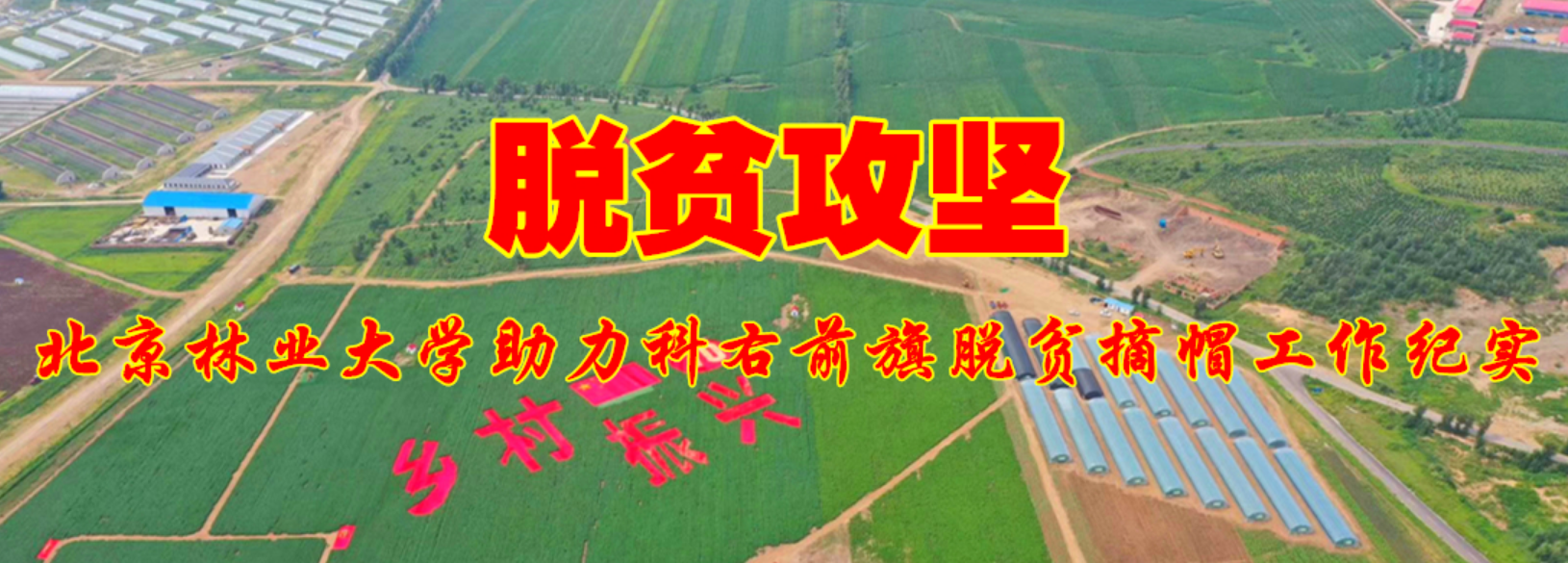 脱贫攻坚专题