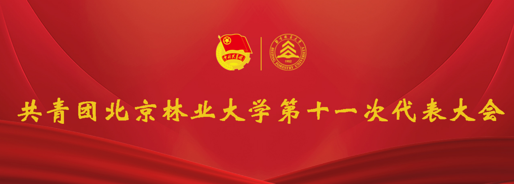 第十一次团代会专题